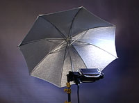 lowel light umbrella