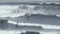 SURF2