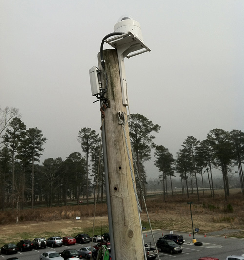 Eagle Nest Camera