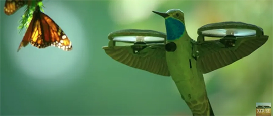 Hummingbird Drone Films Monarch Butterflies