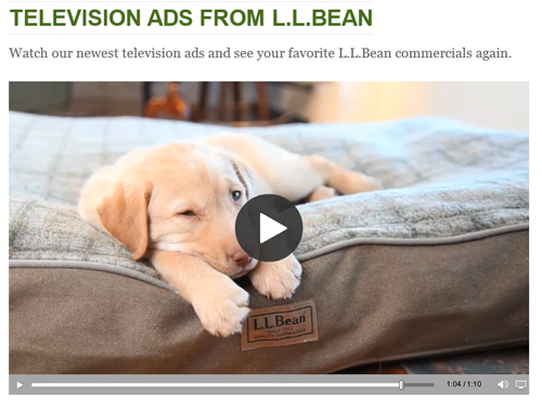 A Great Business Video From LLBean