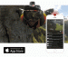 GoPro Streaming Live Video