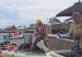 Newport Jazz Festival